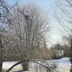 IMG_20200331_094616