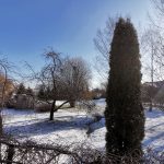 IMG_20200331_094625
