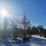 IMG_20200331_094646