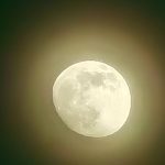 IMG_20200405_205059