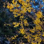 IMG_20200427_213505