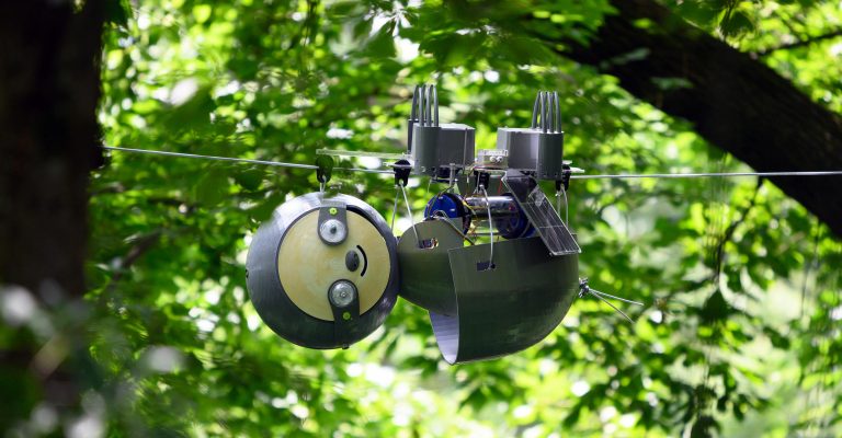 Superlēnais robots SlothBot palīdz apdraudētu sugu pētniecībā