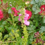 IMG_20200708_160046_2