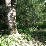 IMG_20200709_183226519