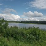 IMG_20200710_164301818