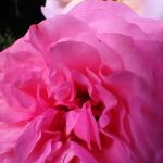 IMG_20200719_175201