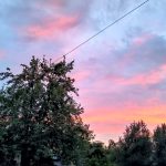IMG_20200719_221331