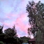 IMG_20200719_221426