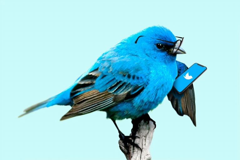 Twitter apsver jau šogad piedāvāt abonēšanas pakalpojumus