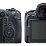 Canon-EOS-R5-vs-R6-Back-View