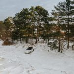 DJI_0227