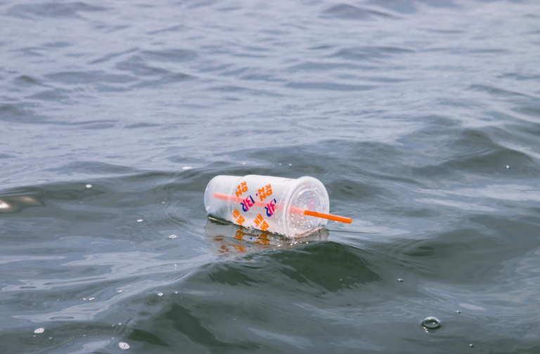 Zinātnieki pirmo reizi atraduši mikroplastmasu cilvēku asinīs