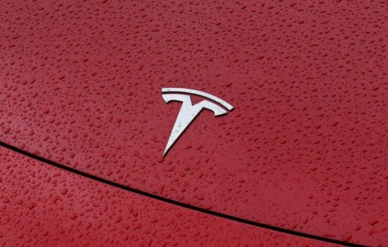 Austrālieši Maska dēļ parāda vidējo pirkstu “Tesla” projektam