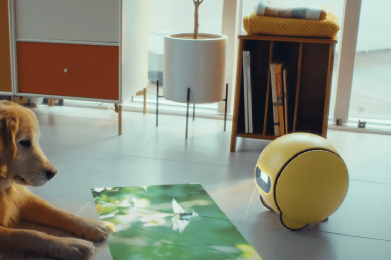 Šogad beidzot būs nopērkams “Samsung” ripojošais mājas robots “Ballie”