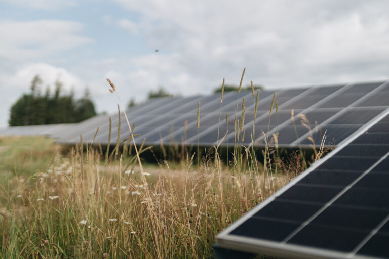 Vārmē komercdarbību uzsāk pirmais “Ignitis Renewables” saules enerģijas parks Latvijā